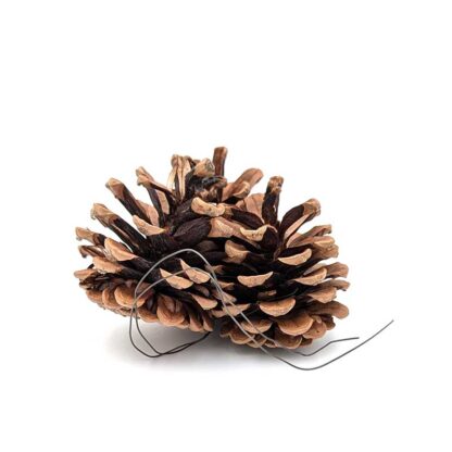 Austriaca Wired Cluster of 3 Pine Cones - Image 2