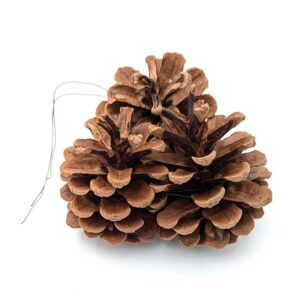 Austriaca Wired Cluster of 3 Pine Cones