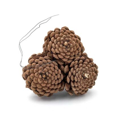Austriaca Wired Cluster of 3 Pine Cones - Image 3